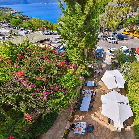 Livia * Kaş